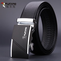 Woodpecker mens belt Leather automatic buckle belt Korean version of fashion casual middle-aged youth business cowhide pants