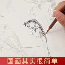 Chinese painting line drawing introduction copy book Xuan paper Chinese painting paper rice paper familiar publicity and freehand brushwork painting special manuscript line manuscript familiar rice paper brush work paper painting manuscript flower and bird calligraphy mounting