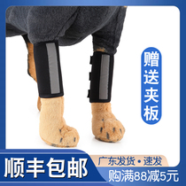 Send splint dog forefoot forefoot calcium deficiency deformation cat leg broken fixed support protective cover foot protection