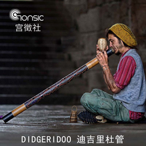 Dijrido Teak Bamboo Entry Level Deritre Didgeridoo Indonesia Australia import bracket bag