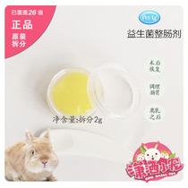 American Petag Baker helps you strengthen probiotic cream 2g Hamster Rabbit Chinchilla Guinea Pig gastrointestinal health split 1 box