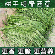 Chinchilla Grass Drying Timothy Conditioning Gastrointestinal Treatment