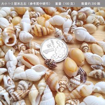 Small natural perforated conch shell bracelet ring necklace set craft jewelry decoration diy accessories