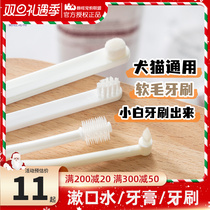 kojima pet brushing toothpaste Toothpaste toothbrush set edible dog cat anti-bad breath calculus tooth cleaning artifact