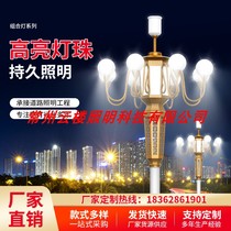 Chinese lamp 5 m 6 m 9 fire 8 m 10 m 9 head Yulan light street lamp outdoor lamp High pole street lamp Landscape square lamp
