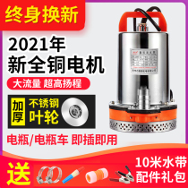 Pumping pump 12v DC submersible pump agricultural irrigation 48v water pump electric car household 60V small pump