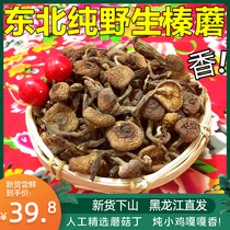 New goods Northeast Shanzhen specialty wild hazel mushroom diced dry goods chicken stewed mushroom farmhouse self-picked mountain goods Zhen mushroom 200g