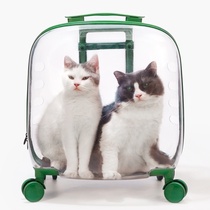 Cat bag Out of the carry rod suitcase Cat backpack Large capacity space capsule Pet carrying summer cat school bag