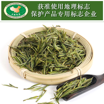 2021 New tea Mingqian first-class Guizhou Zhengan WHITE TEA 100G Alpine green TEA specialty Anji white bulk
