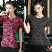 Outdoor quick-drying T-shirt womens ice silk short sleeves elastic breathable running fast-drying clothes mens couples quick-drying exercise fitness T-shirt