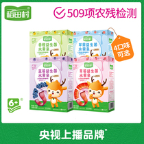 Daotian Village Fawn Youyou Probiotics Baby Fruit Bar Childrens Fruit Bar Peopant Kids Snacks 190g
