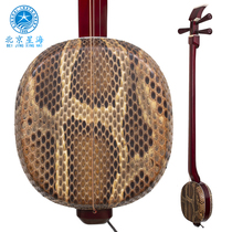 Beijing Xinghai three-string rosewood 8301 hardwood small three-string instrument National plucked instrument