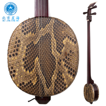 Beijing Xinghai rosewood mahogany 8311 hardwood middle three-string musical instrument three-string practice piano send accessories