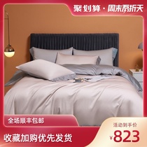 Four-piece set of pure cotton pure color high-grade home bed sheet duvet cover European plush cotton simple bed sheet bedding