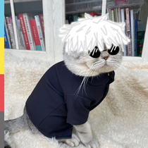 Spell fight back five Wujiu teacher pet clothes cat 5t5 Warlock cos coat puppy dress up photo props