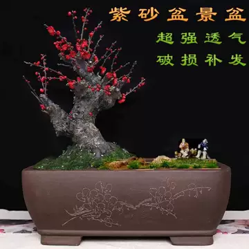 长方形马槽花盆-长方形马槽花盆促销价格、长方形马槽花盆品牌- 淘宝