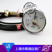 Temperature Meter Electric Contact Thermometer WTD-603A 0-100 degrees 2 meters 3 meters Shanghai Qingpu Instrument Factory