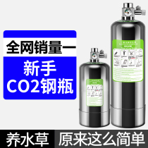 Crazy water grass carbon dioxide small cylinder grass tank set fish tank special homemade high pressure gas cylinder co2 generator