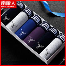  Antarctic pure cotton underwear mens fashion printing trend youth sports breathable thin summer antibacterial boxer shorts