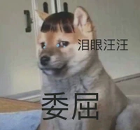 Симпатичная зона очистки дома!Другие виды специальных заказов на утечку предложений Бесплатная доставка, за исключением удаленных деталей, не составляют