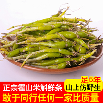 Authentic Dendrobium fresh strips in the wild Dendrobium Huoshan fresh strips 50 grams of Dendrobium officinale are far better than Dendrobium candidum