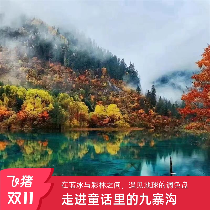 8人小团九寨沟纯玩三日游,邂逅绝美四姑娘山,你还在等什么?🔥 -旅游-淘宝好物网