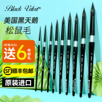 American Black Swan watercolor pen BlackVelvet Black Rod velvet squirrel hair watercolor pen BV round head brush number 4 6 number 8 Hook pen 3000s 300 7s flat head Hazel
