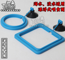 Small fish tank feeding ring feeding ring feeding floating ring aquarium feeding ring aquarium feeding ring feeding ring