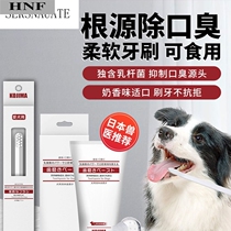 Dog tooth set cream stone Japanese KOJM halitosis dog pet Teddy edible set in addition to brushing to small