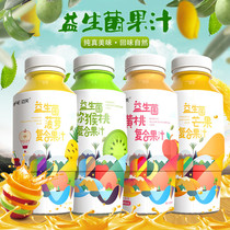 Pure juice drink 480ml × 15 bottles full box Net red concentrated bartender grade Mango Peach Pineapple juice