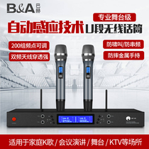 Home K Song Professional Wireless Microphone U Section One Drag Two Family Ktv Karaoke Conference Hosted Microphone Suit