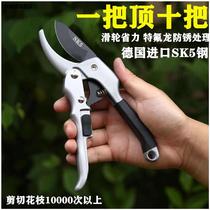 Branches Cut Flowers Branches Cut sk5 Stainless Steel Germany Import Gardening Scissors Labor-saving Mulberry Cut Fruit Branches Cut prunings