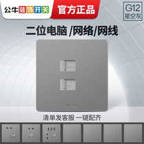 Bull Socket Dual Computer Socket Two computer network socket panel Double-port network cable socket panel G12 Gray