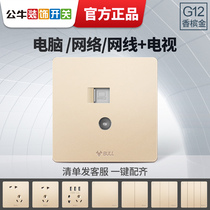 Bull TV computer socket network cable cable TV line 2-in-one panel CCTV TV socket G12 gold