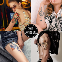 Change @ become optional 5 flower arm suit tattoo stickers waterproof long-lasting female sexy English text