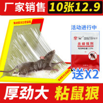 Cat Mountain King mouse sticky a nest end super strong sticky mouse plate artifact large mouse paste home enlarged number