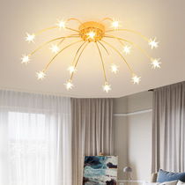 Bedroom lamp ceiling lamp warm romantic Nordic modern simple master bedroom living room Creative lamp children starry lamp