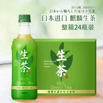 Japan imported spot full box of 24 bottled KIRIN raw tea green tea low-calorie low-fat health summer drink