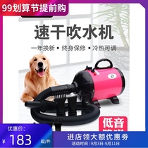 Pet water blower dog hair dryer dryer large dog special hair blowing artifact mute home power dog