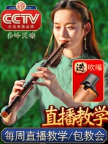 Dongxiao musical instrument beginner professional F Purple Bamboo short flute six ancient wind eight hole G tune Jade short Xiao Di portable Xiao