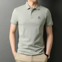 2021 summer lapel pearl cotton short sleeve t-shirt mens cotton polo shirt embroidery half sleeve business mens T-shirt