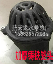 Thickened cast iron gasoline engine pump bottom valve hose valve water filter water pipe cage head flower basket filter