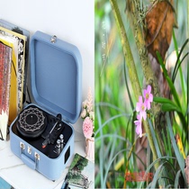 Portable vinyl record player retro portable suitcase vinyl machine Bluetooth USB voice player Speaker