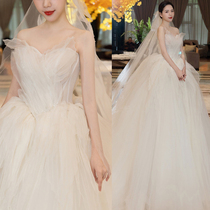 Tail chest master wedding dress 2021 new bride 2020 light out door yarn female simple small man French big tailing tail