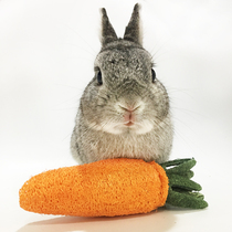 (Rabbit Xiansens Convenience store)Rabbit Guinea pig Chinchilla molar Carrot Loofah Natural pet toy