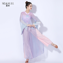  Cloud purple summer Chinese classical dance fairy gauze Tang top clothing Elegant dance practice female performance clothing