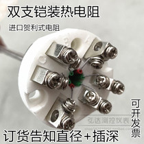 WZPK2-010 double armored thermal resistance core pt100 platinum resistance sensor assembled thermal resistance core