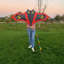 1 5 m 1 6 m bat goldfish phoenix kite children adult triangle factory breeze easy to fly Weifang new