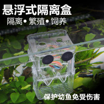 Acrylic breeding box guppy fish incubator Mary small fish fighting fish isolation box juvenile fish protection box