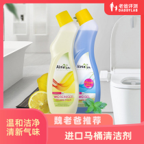 Factory delivery Dad evaluation toilet cleaner 750ml mint fragrance type descaling deodorant toilet toilet cleaner